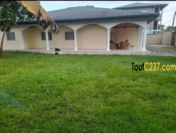 Maison villa à vendre à Logpom Douala
