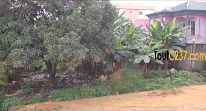 Terrain commercial à vendre à Logpom