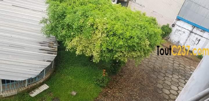 Duplex à louer à Bonamoussadi Douala