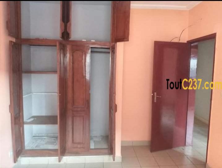Appartement avec piscine à louer à Bonapriso