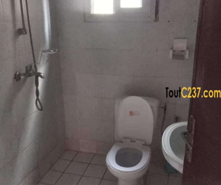 Appartement avec piscine à louer à Bonapriso