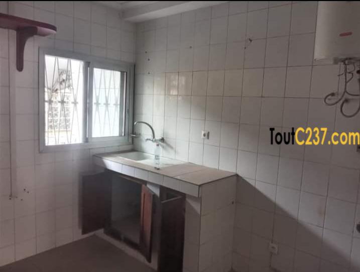 Appartement avec piscine à louer à Bonapriso