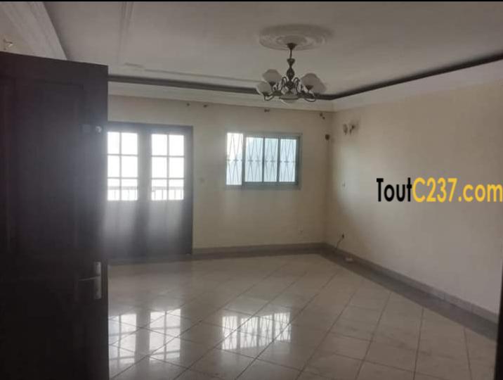 Appartement avec piscine à louer à Bonapriso