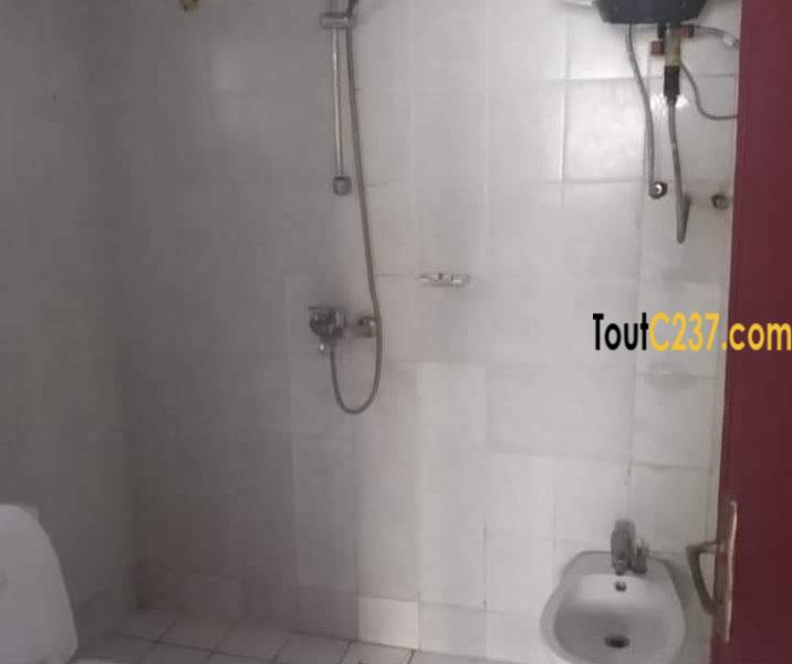 Appartement avec piscine à louer à Bonapriso