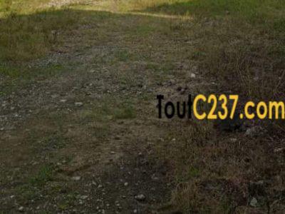 Terrain commercial à vendre à Bonapriso