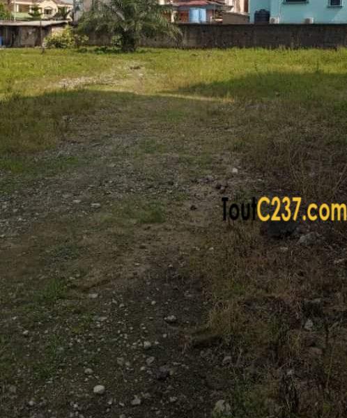 Terrain commercial à vendre à Bonapriso