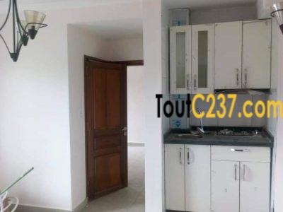 Studio neuf à louer à Bonapriso