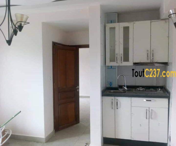 Studio neuf à louer à Bonapriso