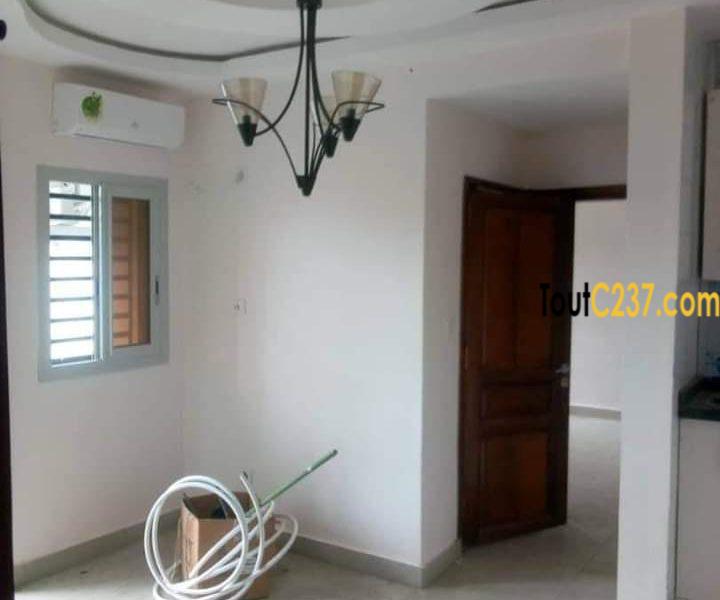 Studio neuf à louer à Bonapriso