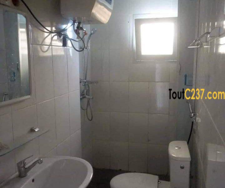 Studio neuf à louer à Bonapriso