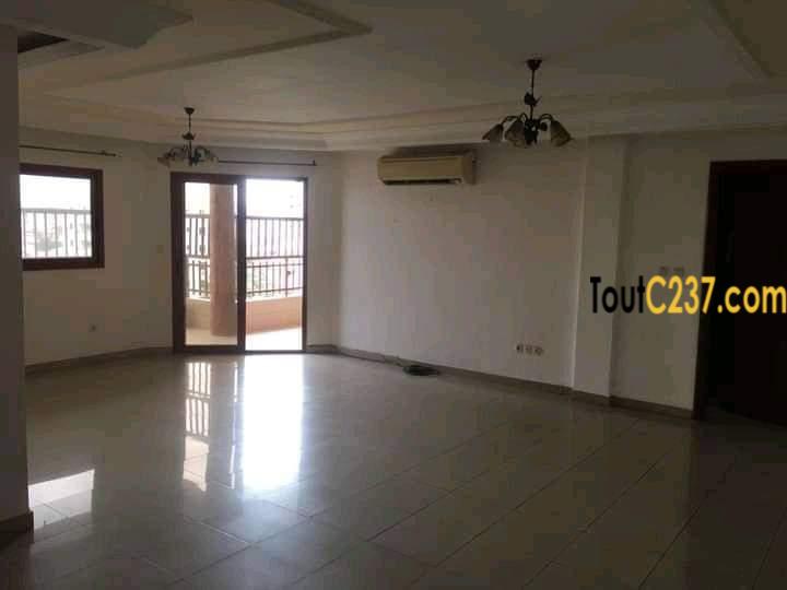 Vaste et somptueux appartement à loué à Bali