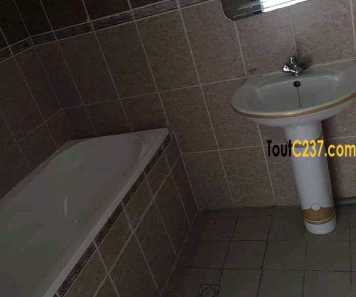 Vaste et somptueux appartement à loué à Bali