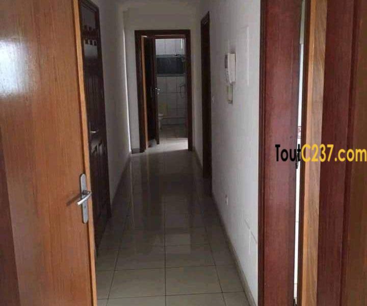 Vaste et somptueux appartement à loué à Bali