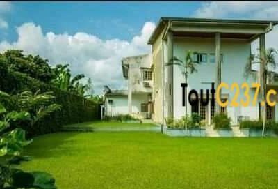 Duplex à louer pour événement à Bonaberi