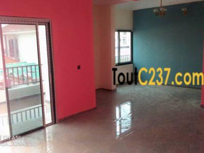 Appartement à louer à Bonapriso