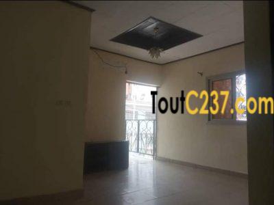 Studio moderne à louer à Bonapriso