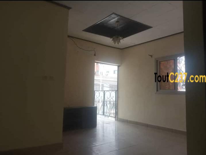 Studio moderne à louer à Bonapriso