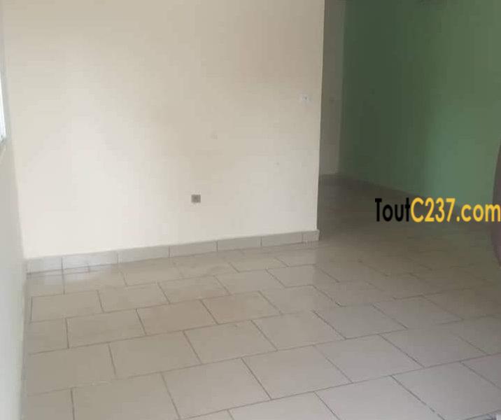 Studio moderne à louer à Bonapriso