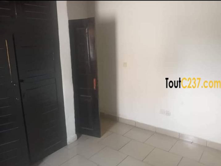 Studio moderne à louer à Bonapriso