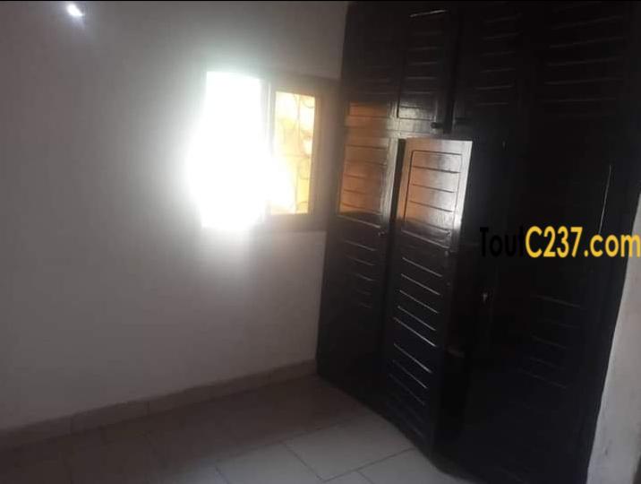 Studio moderne à louer à Bonapriso