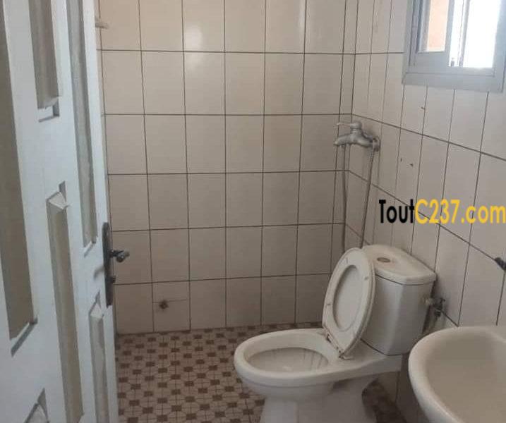 Appartement à louer à Bonapriso