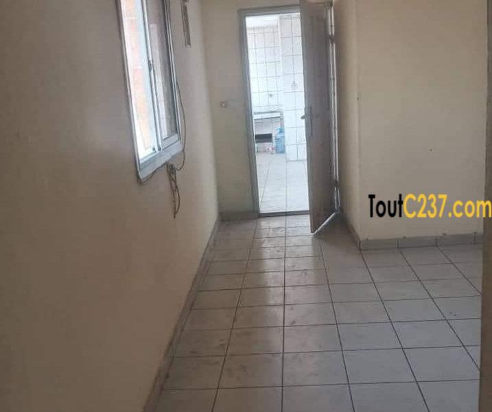 Appartement à louer à Bonapriso