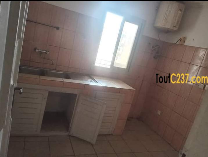 Appartement à louer à Bonapriso