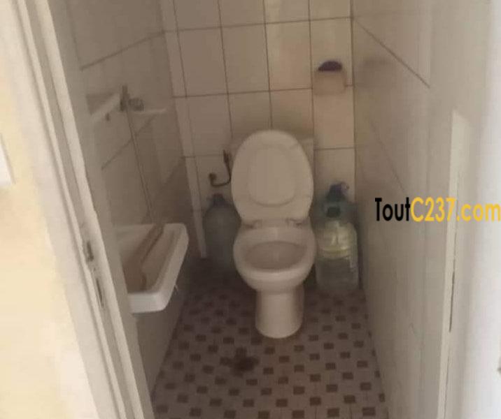 Appartement à louer à Bonapriso
