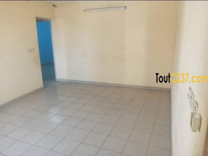 Appartement à louer à Bonapriso