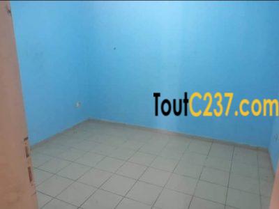 Appartement à louer à Bonapriso