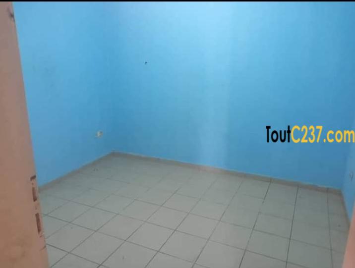 Appartement à louer à Bonapriso