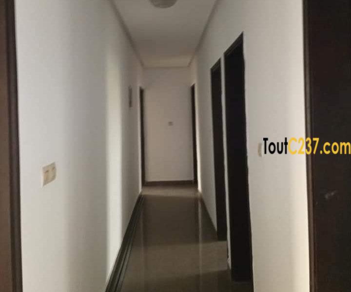 Appartement à louer à Bonapriso