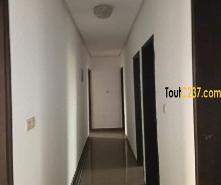 Appartement à louer à Bonapriso