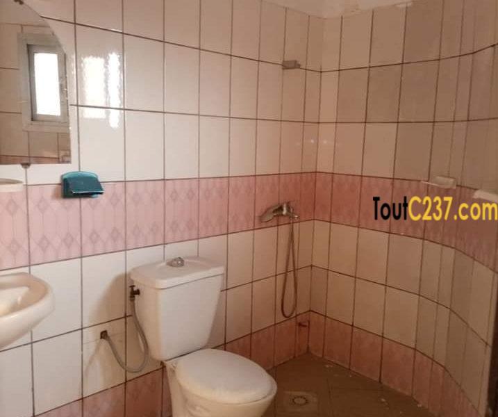 Appartement à louer à Bonapriso