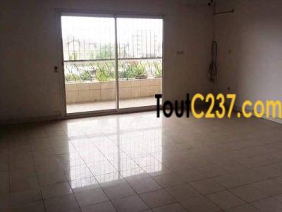 Vaste Appartement à louer à Bonamoussadi