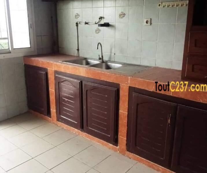 Vaste Appartement à louer à Bonamoussadi