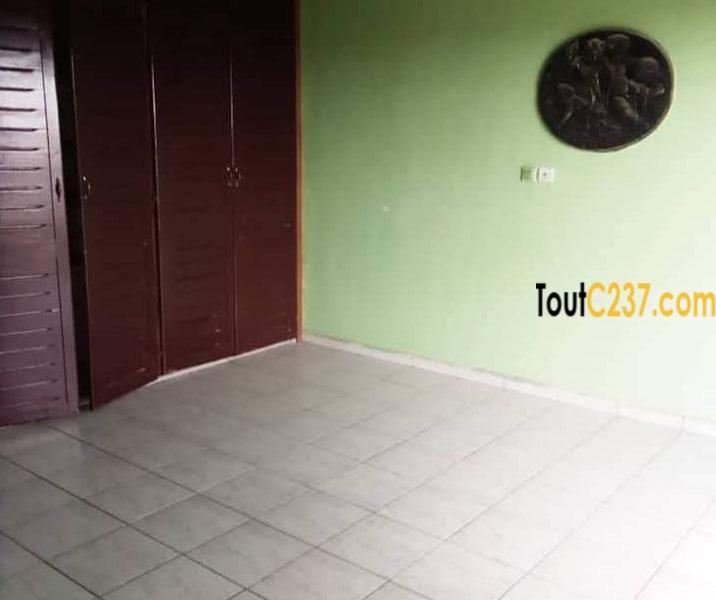 Vaste Appartement à louer à Bonamoussadi
