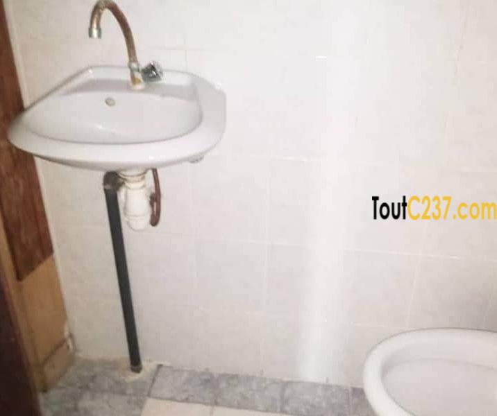 Vaste Appartement à louer à Bonamoussadi