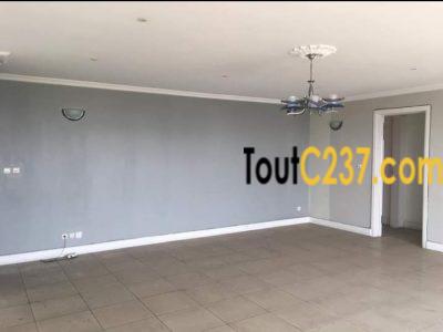 Appartement à louer à Bonapriso