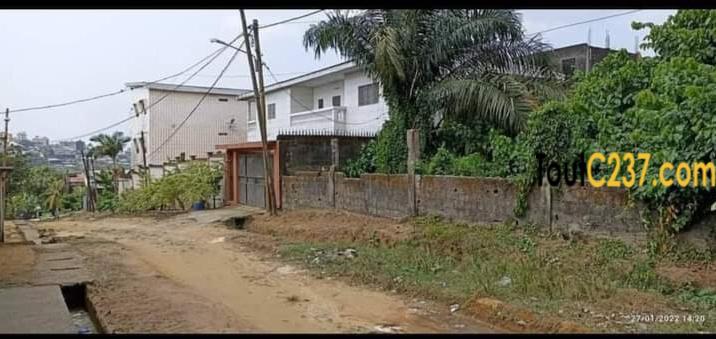 Terrain à vendre à Beedi