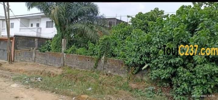 Terrain à vendre à Beedi