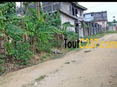 Terrain à vendre à Beedi