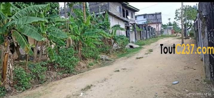 Terrain à vendre à Beedi