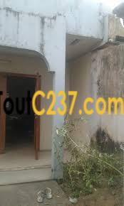 Business: Maison sic commerciale à vendre à Bonamoussadi