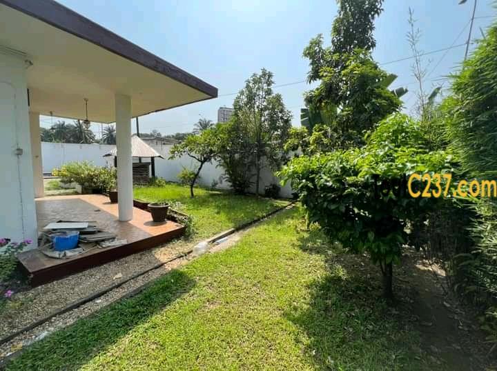 Maison Duplex à louer à Bonapriso Douala