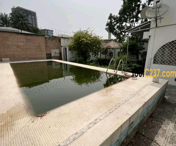 Duplex des cadres à louer à Bonapriso