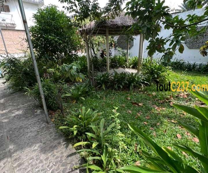 Duplex des cadres à louer à Bonapriso