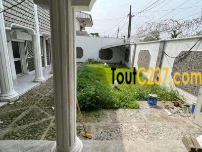 Duplex des cadres à louer à Bonapriso