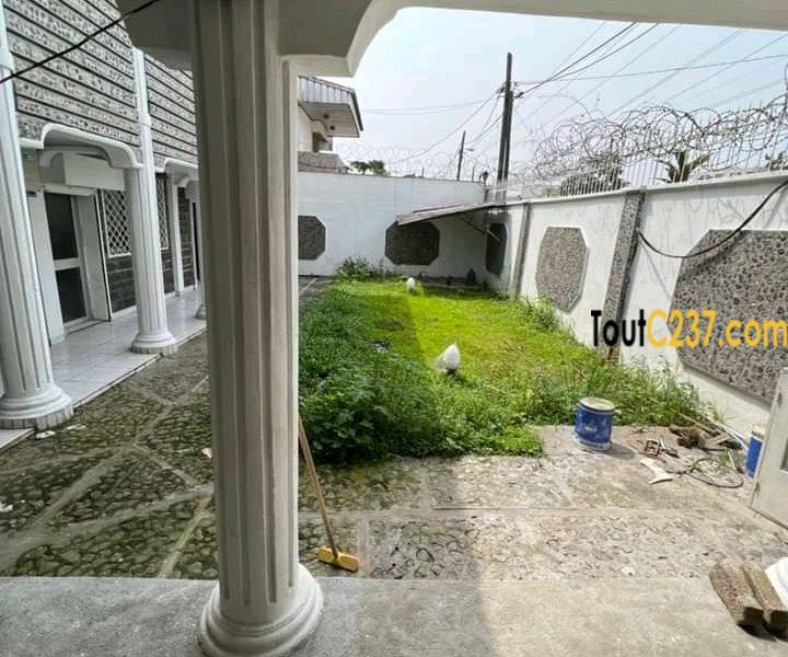 Duplex des cadres à louer à Bonapriso