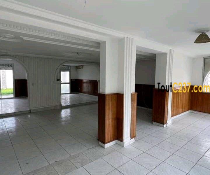 Duplex des cadres à louer à Bonapriso